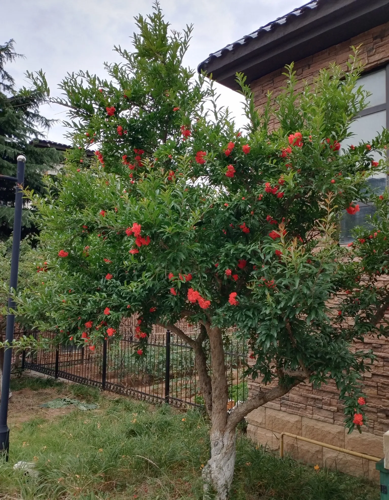 她天天把离职挂在嘴边,说公司钱少事多,离家远