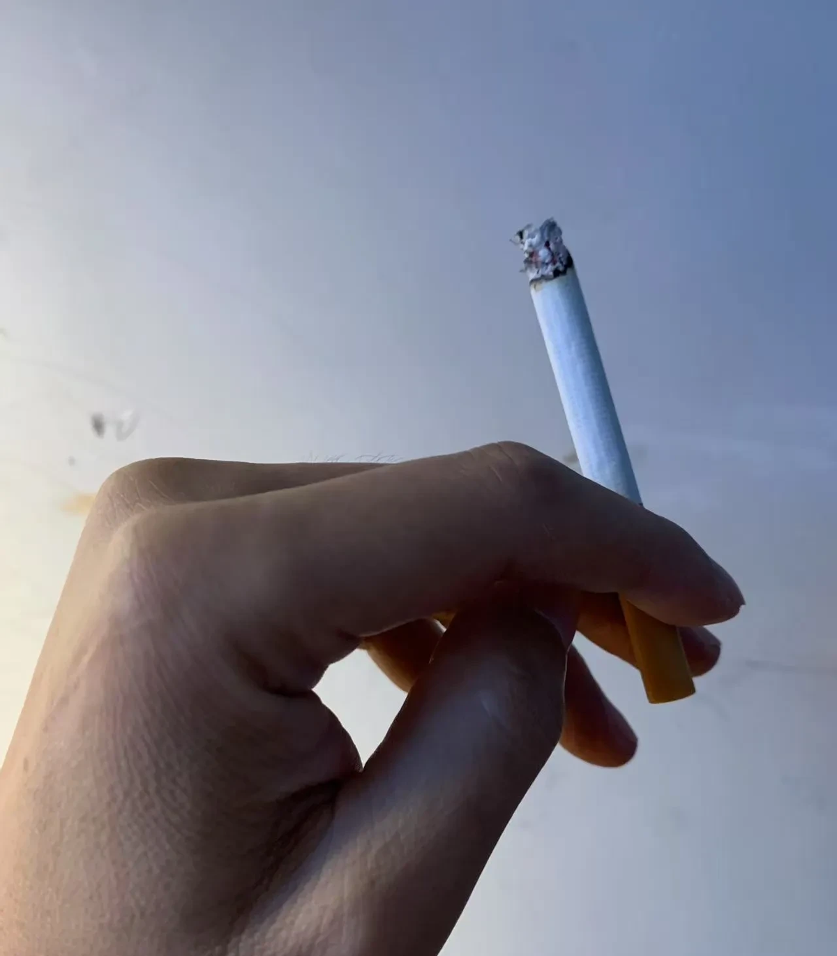 摇摇欲坠,所有人都以为他跑路了,他却把自己关了起来,逼着戒掉了烟,酒