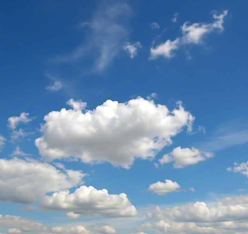 天晴,是双倍的快乐 昨天的大雨下了一整天,空气里都是潮湿的味道,心情