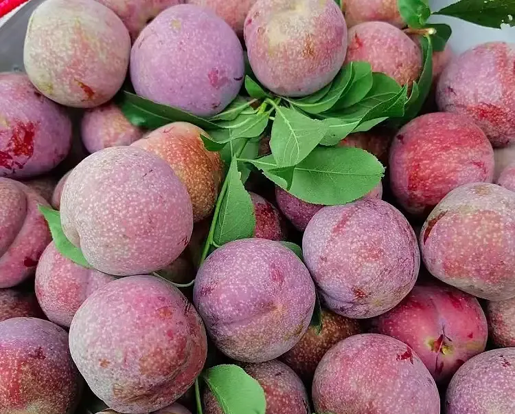 下班前他说想吃三华李,我赶紧冲到菜市场挑了两三斤回来,心想着这回总