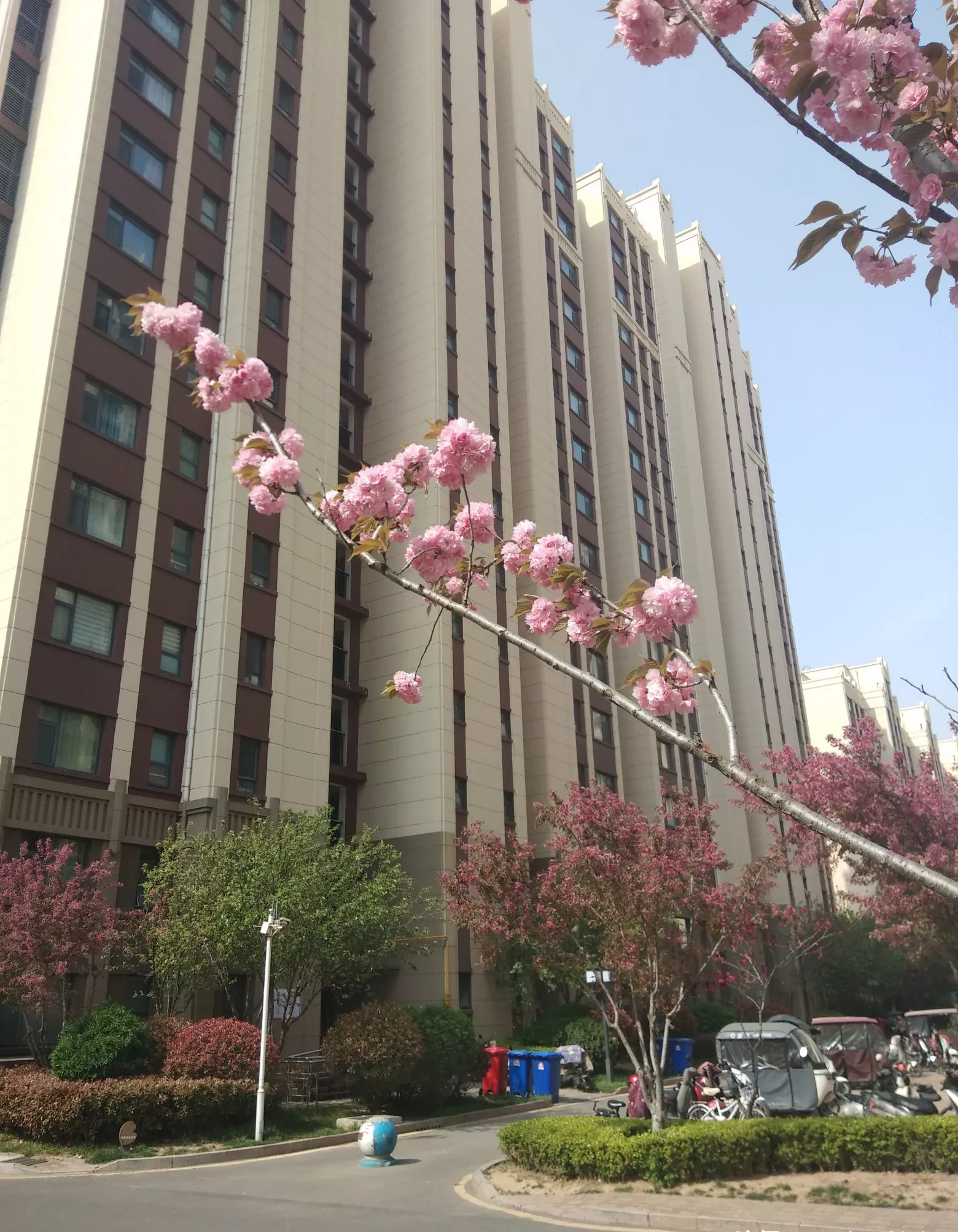 据说是同龄男生的七倍.我们这儿去上海那边的,太多的女孩没有对象