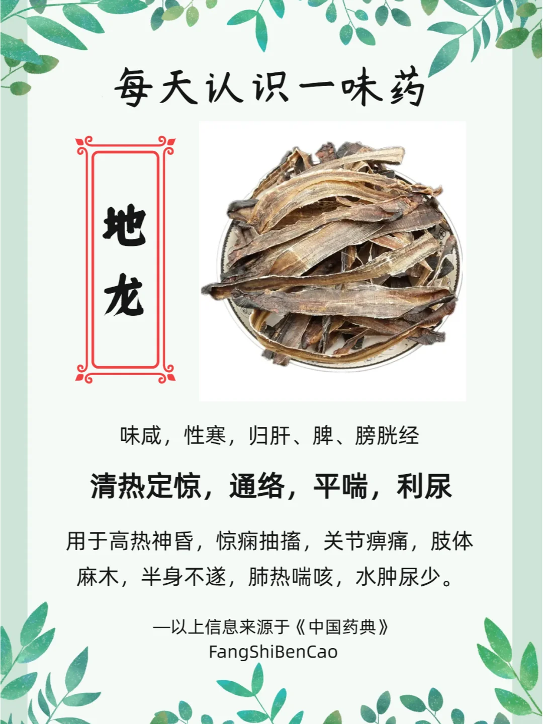 地龙的药用功效与主治有哪些?