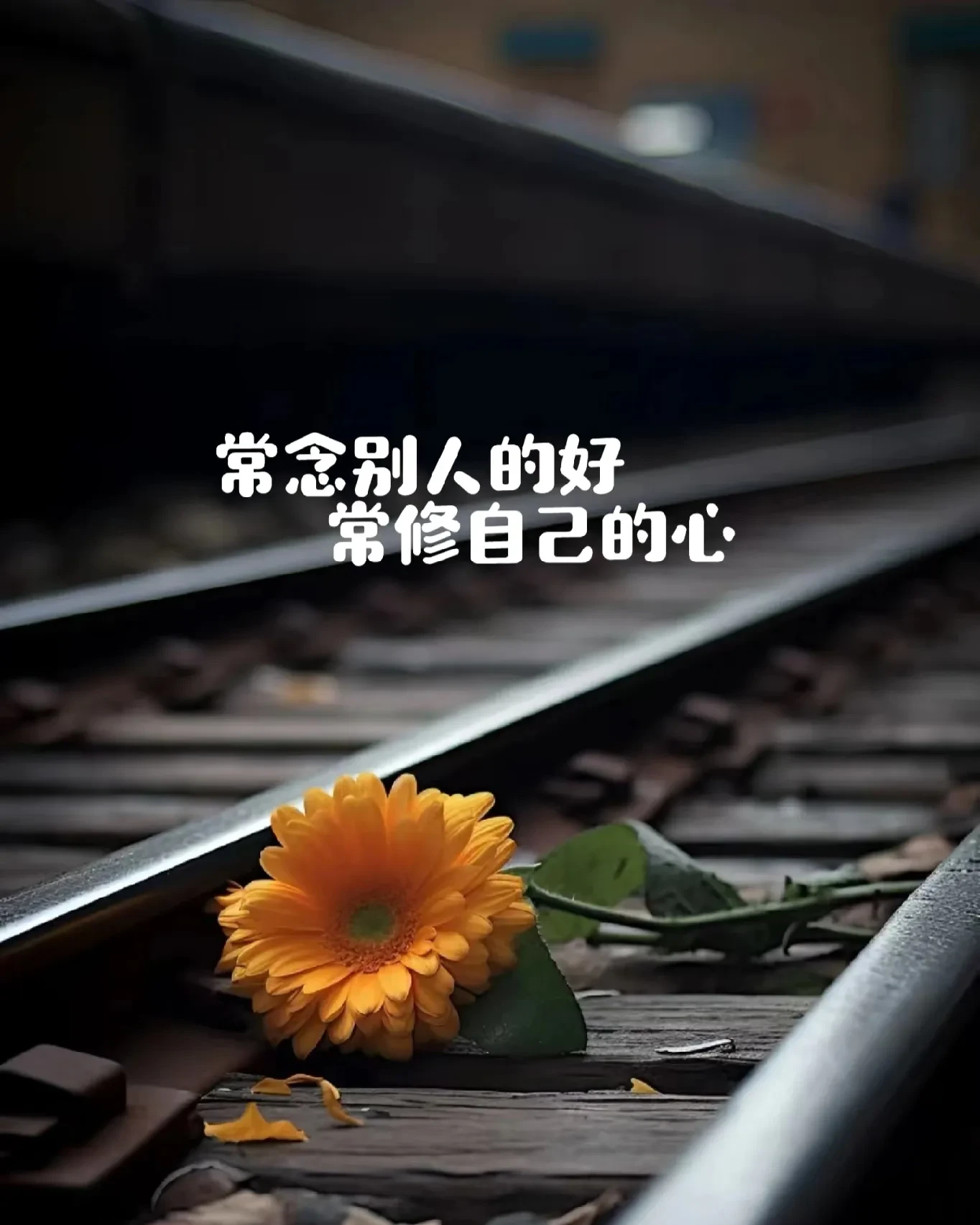 我以前的一个房东,今年82岁了,经常发微信喊我去她家玩,可我一点都不