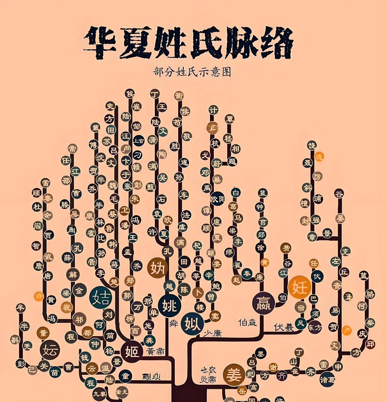 在中国这片土地上,姓氏可不只是个名字,它背后藏着家族的传承,历史的