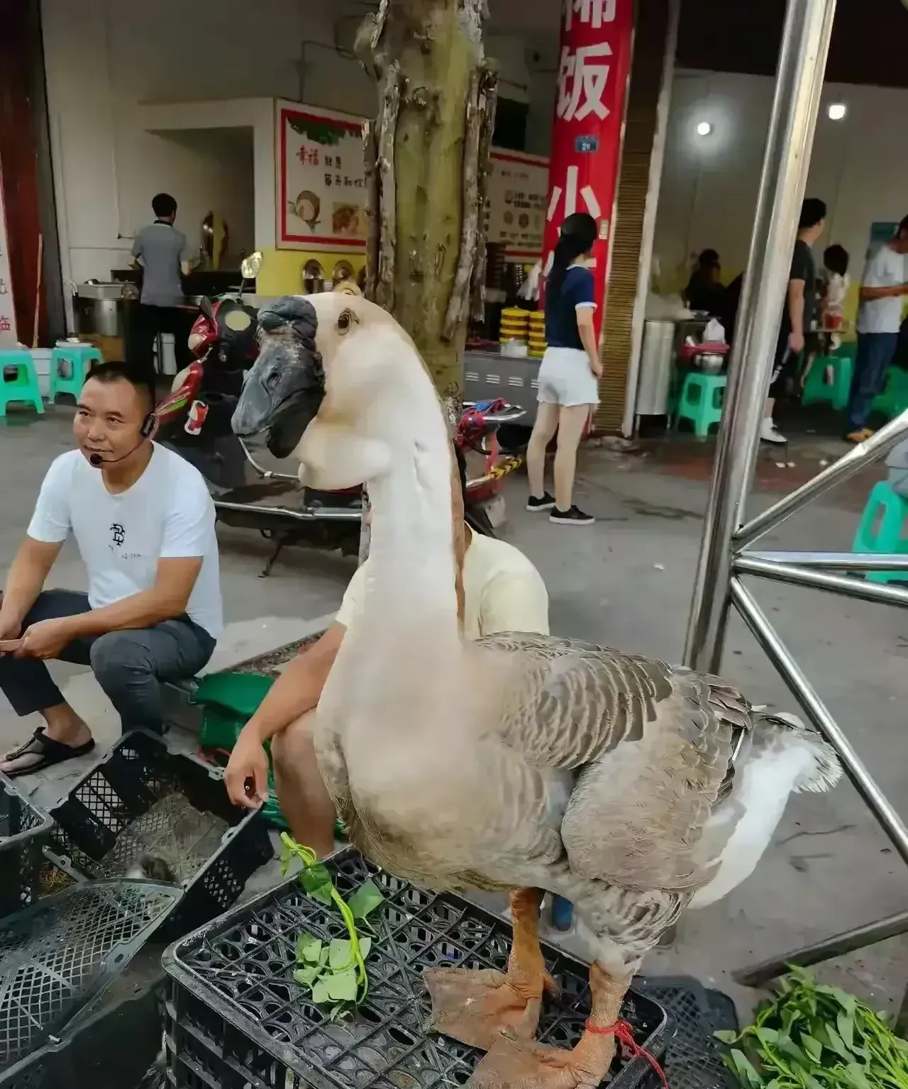 应聘鸭子平台找兼职须知