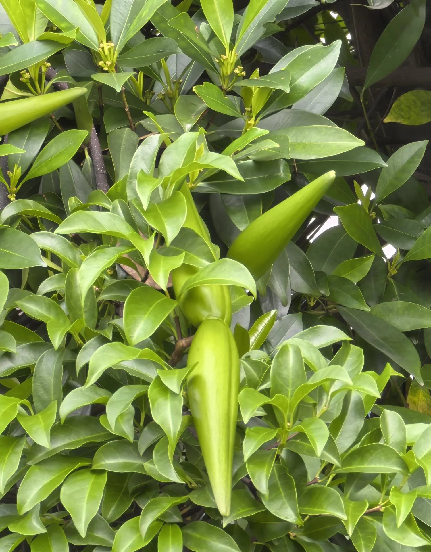 各位有没有这样的经历啊?