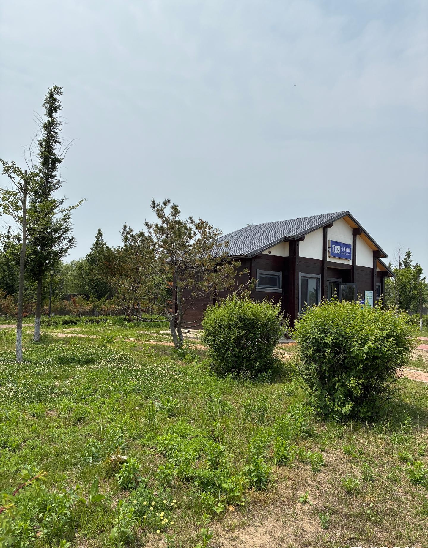 我还没反应过来啥意思,心想这人咋这么兴奋