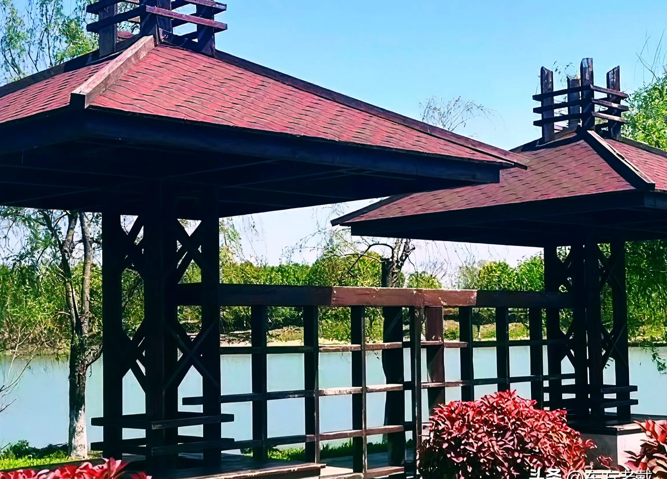 朋友说,这位女士六十多岁,模样不算惊艳,但也挺顺眼,在公园交谊舞场上