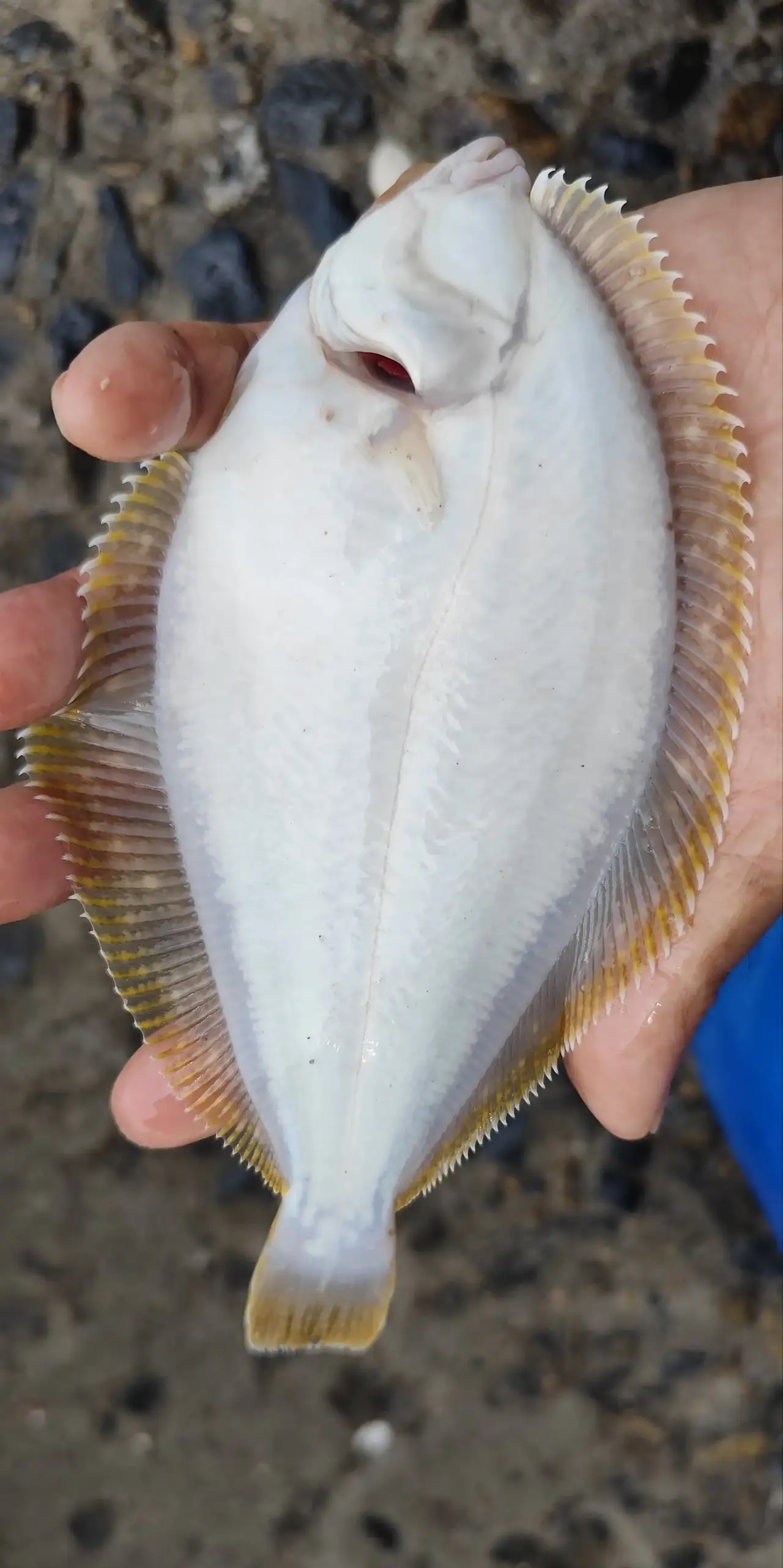 附近有一家酒店原来的老板娘不想做的太大,觉得太