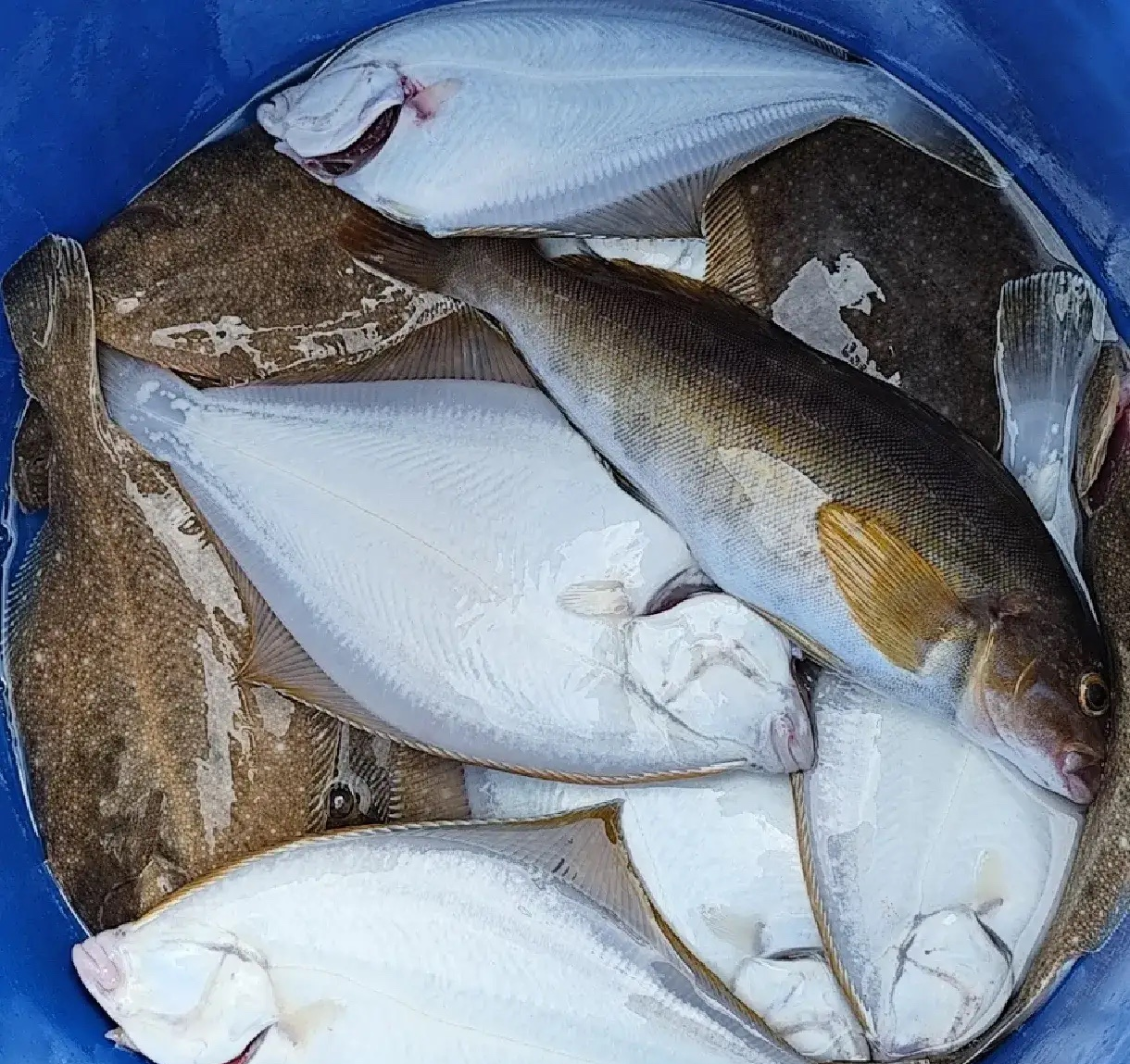 附近有一家酒店原来的老板娘不想做的太大,觉得太