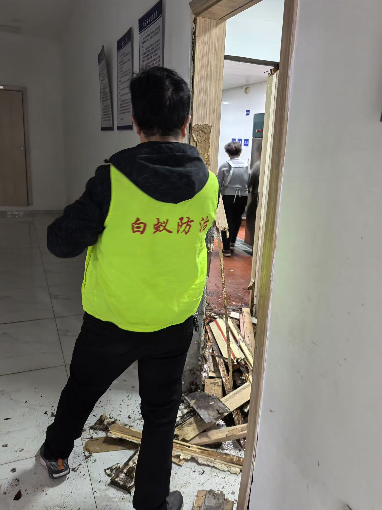 徐汇区白蚁防治所电话是
