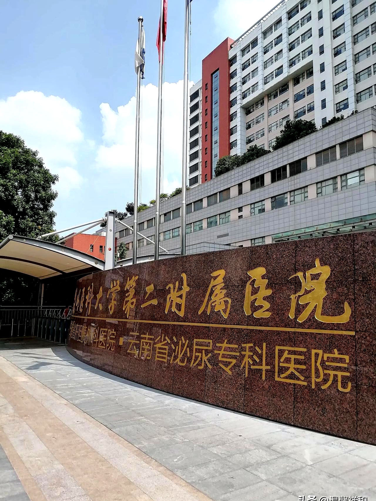 老伴尿血,两万步是我一天跑医院的记录