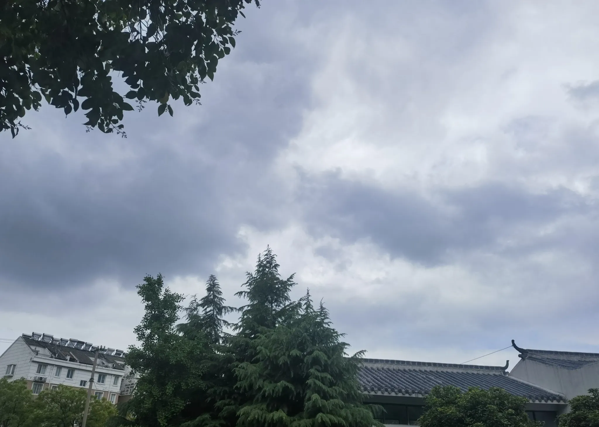 安徽涡阳天气马上知