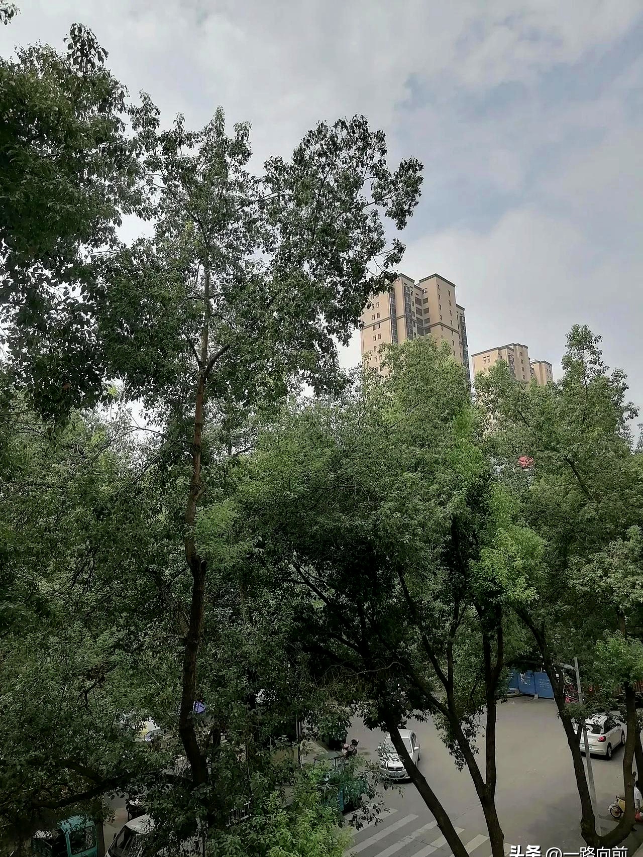 白天天气今日情况