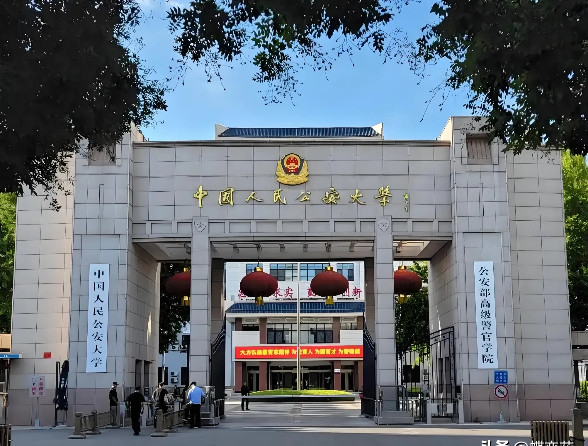 姑姑唉声叹气地说,学校确实不错,可专业忒坑,分到视听技术专业了
