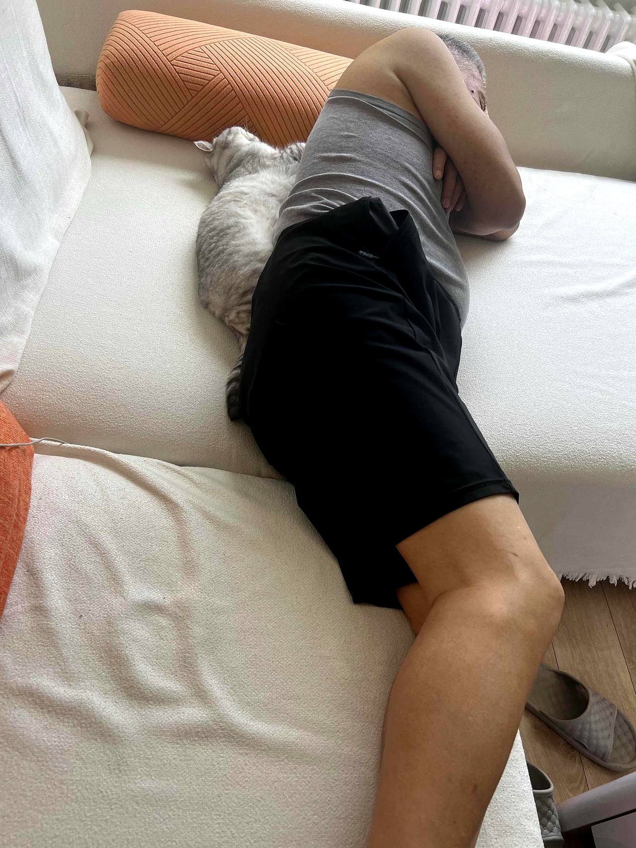 前几天,我和老伴去哈尔滨玩儿,因为担心家里的猫咪