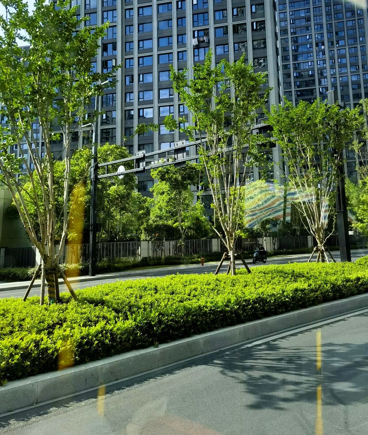 公司最近新招了20个研究生,都是今年刚毕业的,而且