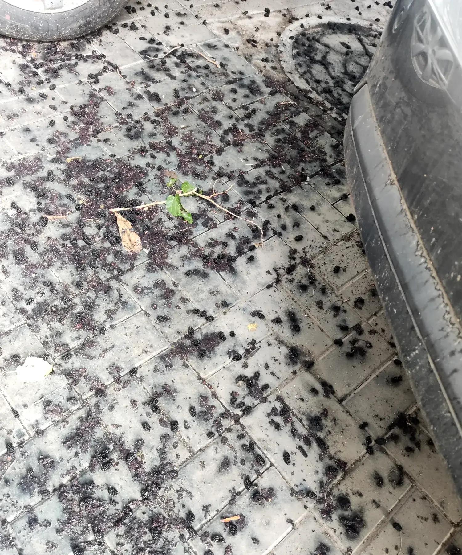 我不追求名牌,我经常自嘲的说自己买东西都是九块九包邮