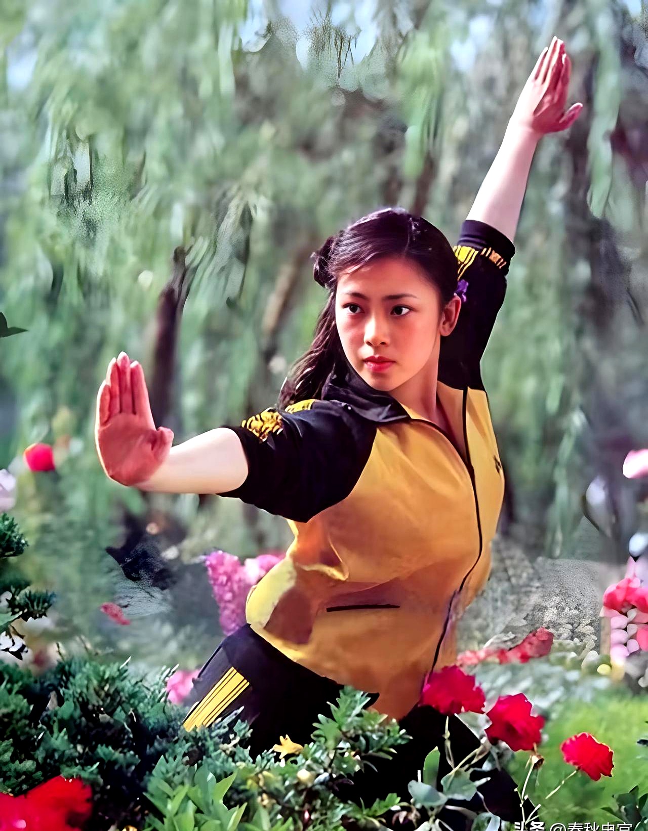 那张泛黄的照片里,李连杰的剑眉透着逼人的英气,黄秋燕眼里的温柔却