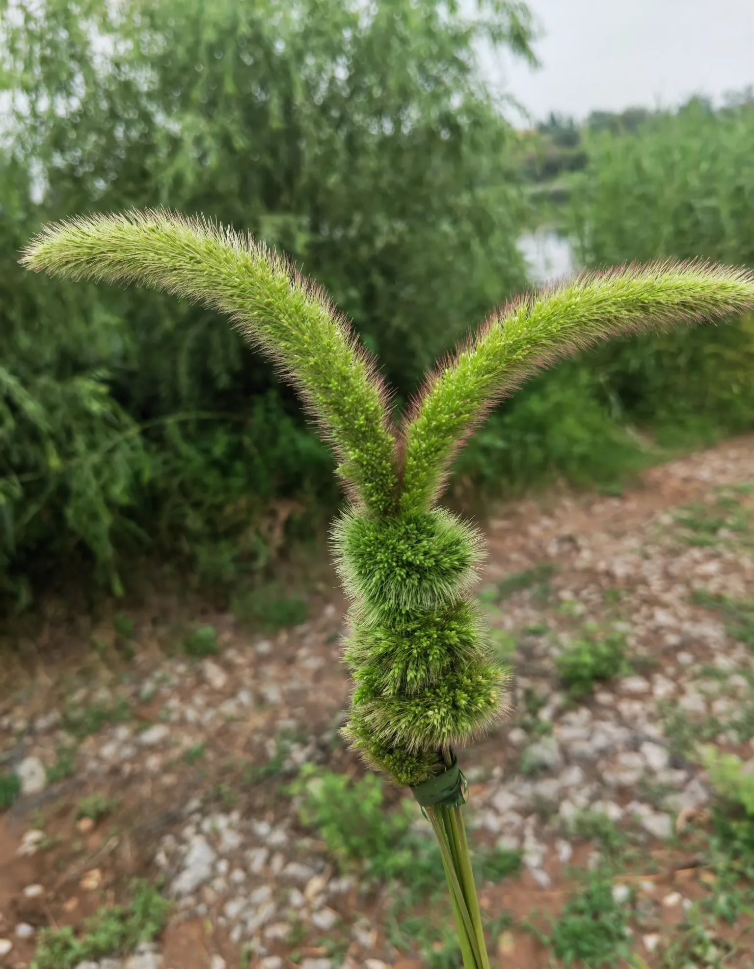到了才发现,我们同办公室的,只差一个同事没通知到