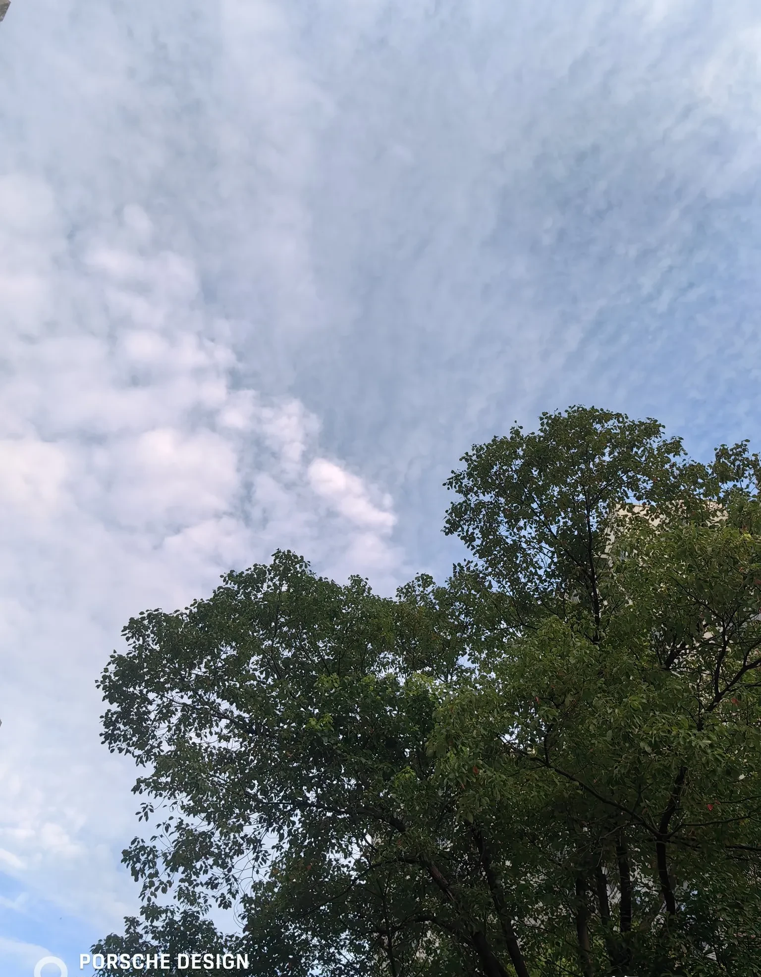 傍晚院子里,忽然一阵风吹散了厚云,凉快的感觉一下子来了,心里的烦躁