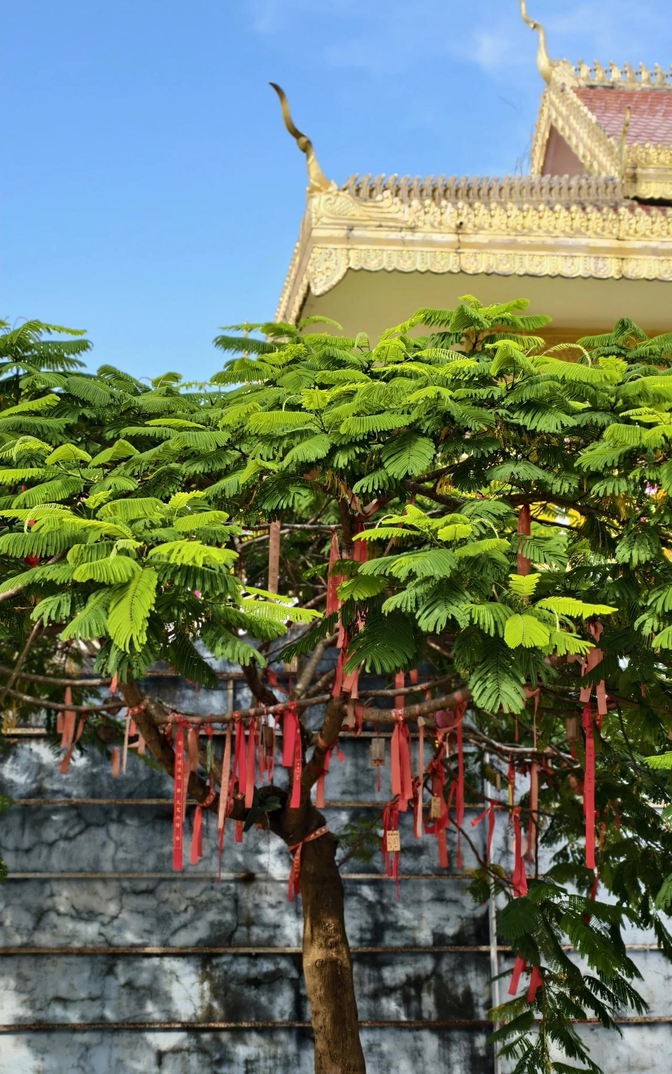吃海鲜多的人,钱包总是捂不住,钱花得飞快,花销像没底洞
