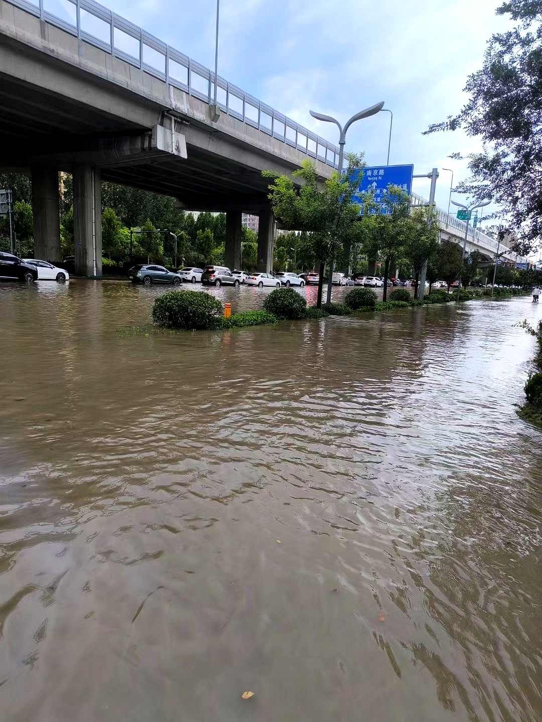 城市里的排水系统无法及时排出如此庞大的雨量,河道里早已蓄满了水