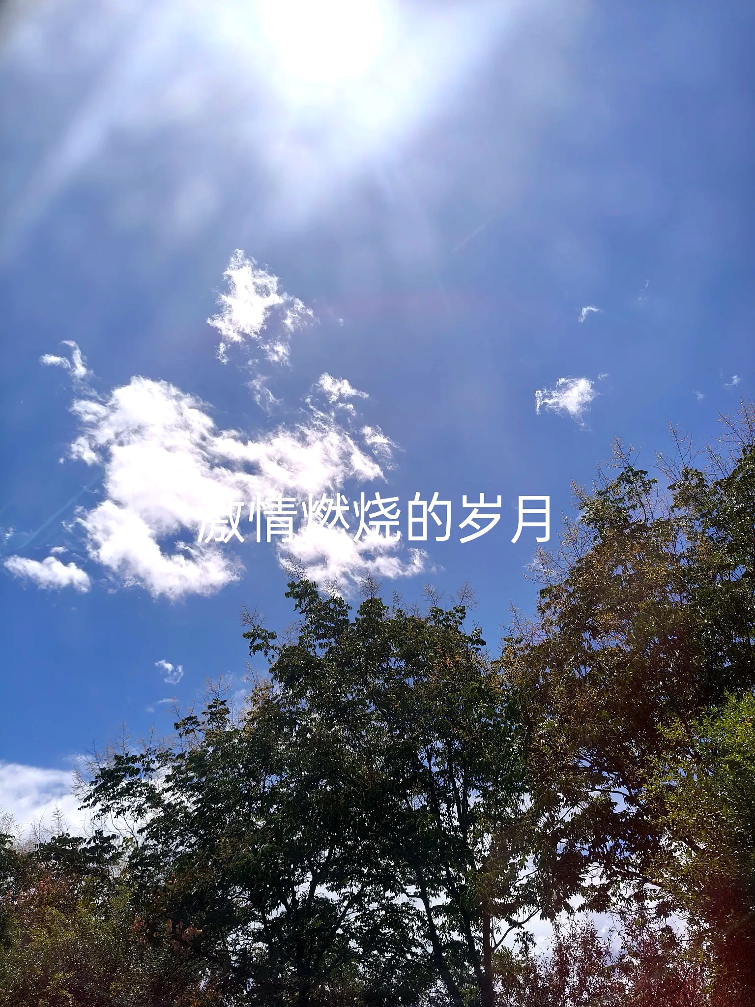 答案是肯定的但他为石晶的考虑却不够周全