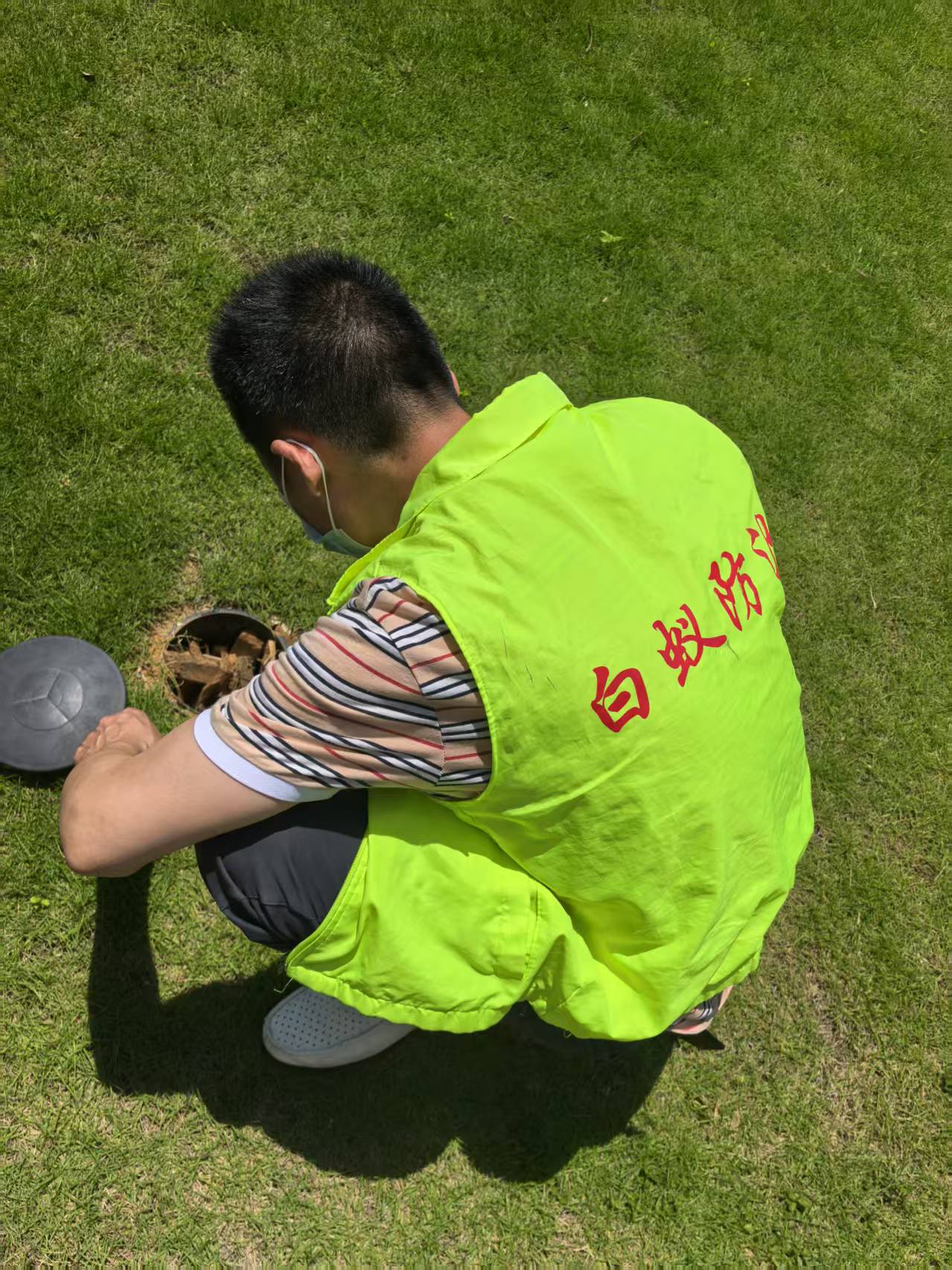 南湖区白蚂蚁防治站办白蚁防治中心登记电话是4009603303 家里发现