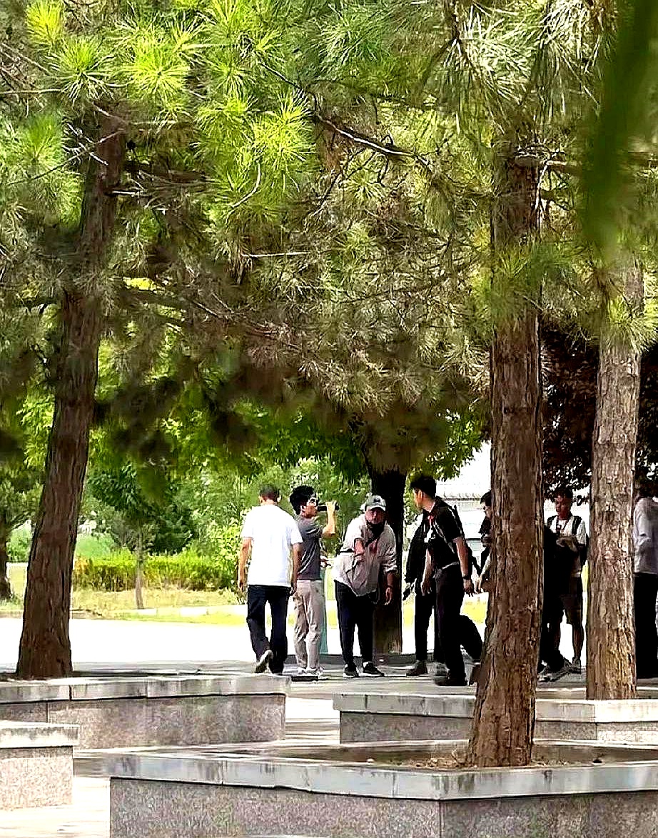 她站在人群边总习惯性 成林挡人的动作快得让人来不及眨眼