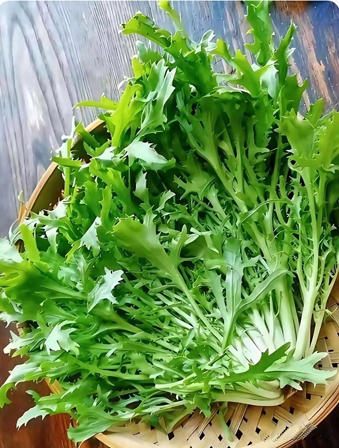 它和蒲公英老像了好多人一不小心就认错直接当野菜凉拌吃了