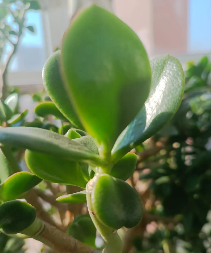 沉溺于昨日,你将裹足不前,深陷于既有的挫折和名利而无法自拔