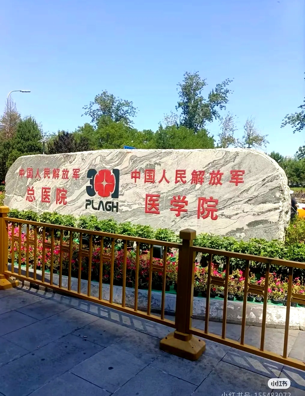 包含301医院黄牛挂号省心省事真好的词条