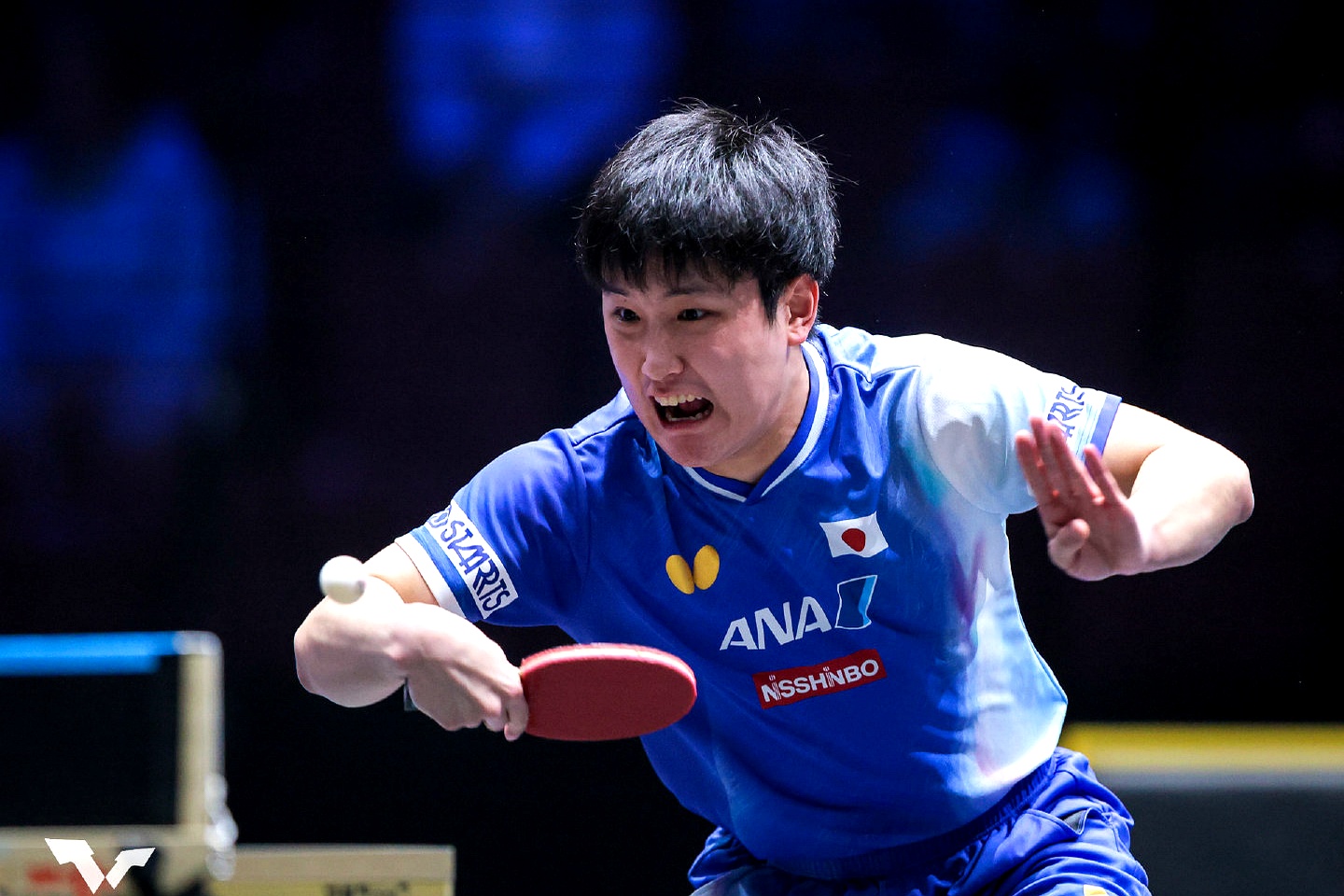 张本智和自从击败了王楚钦拿下冠军后,最担心的事还是发生了,那就是他