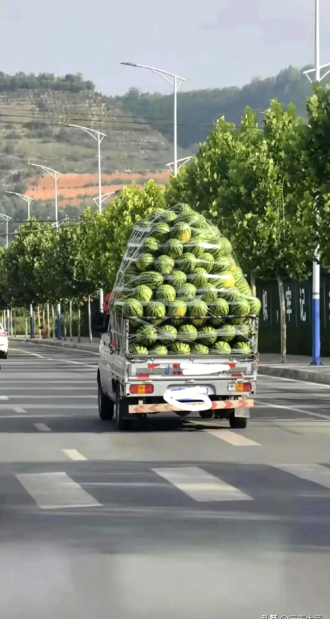 刚才看到一辆甘n的小货车,载着满满一车西瓜在马路上跑