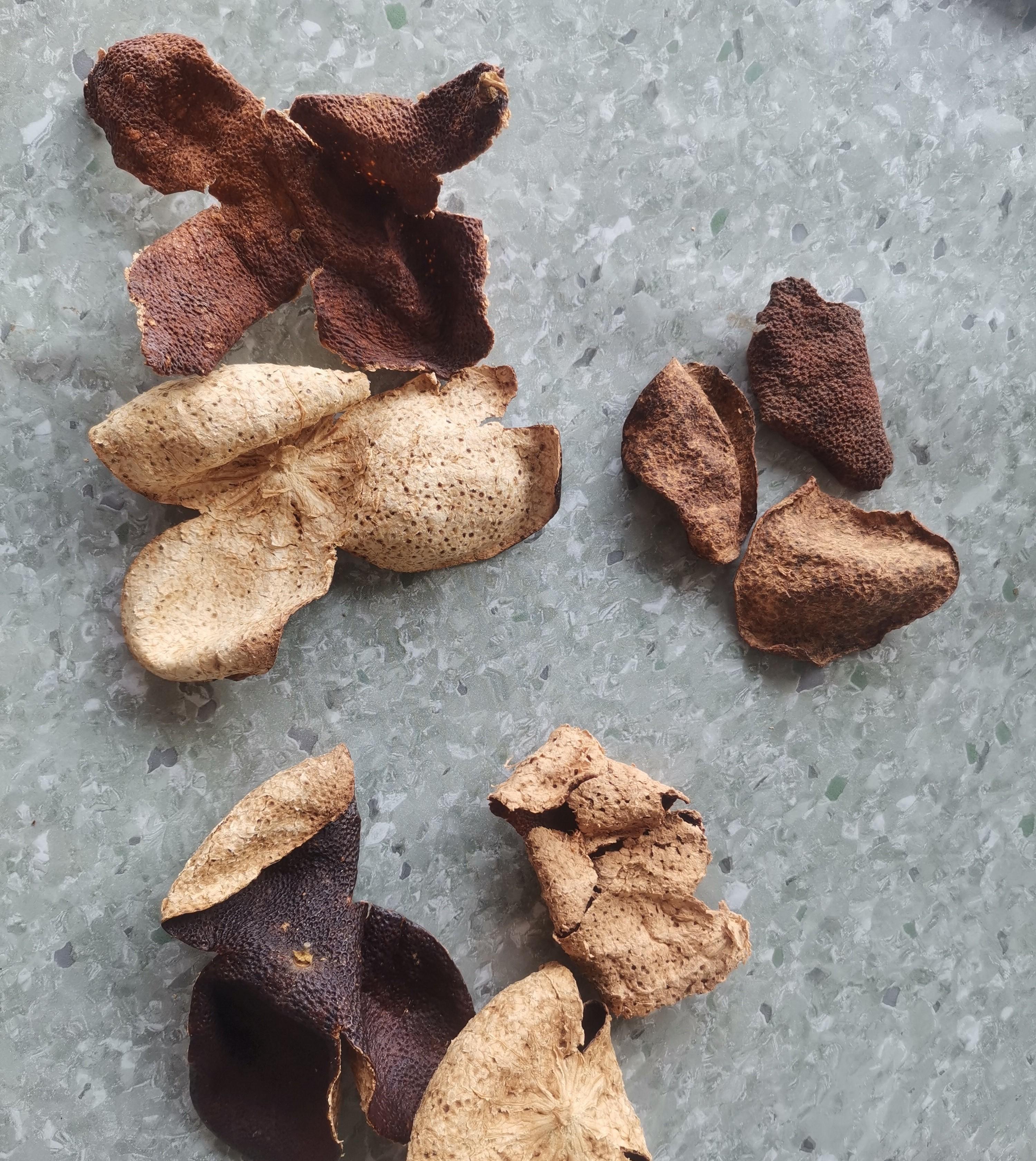 我是一个陈皮爱好者现在家中仍保存有六十年的陈皮