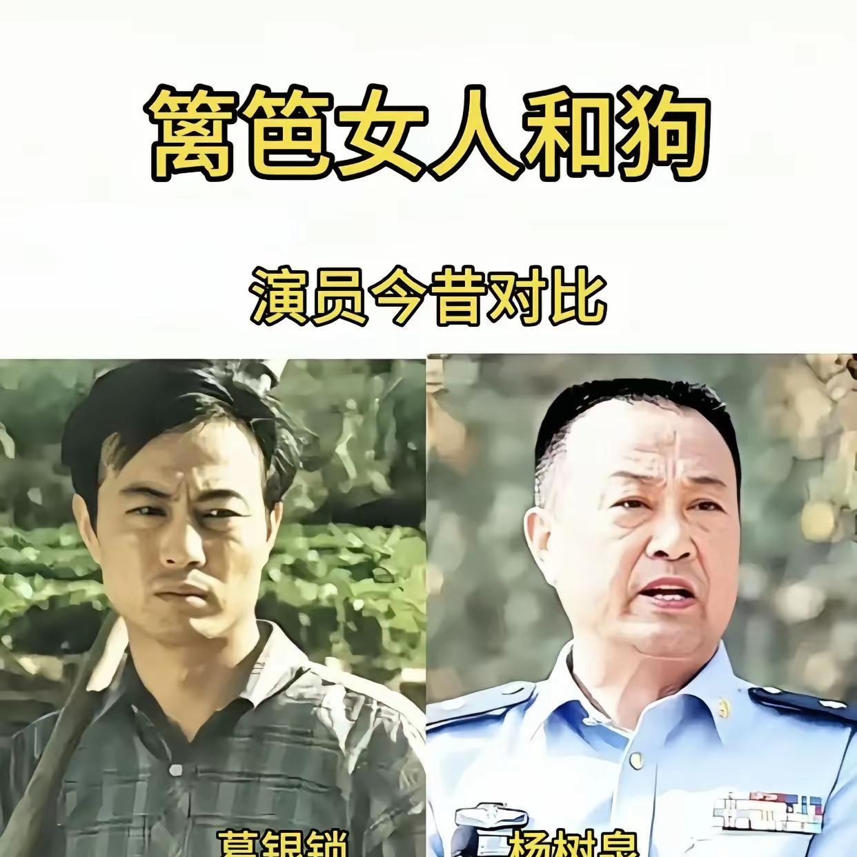 《篱笆女人和狗》真是一部刻进记忆的农村剧