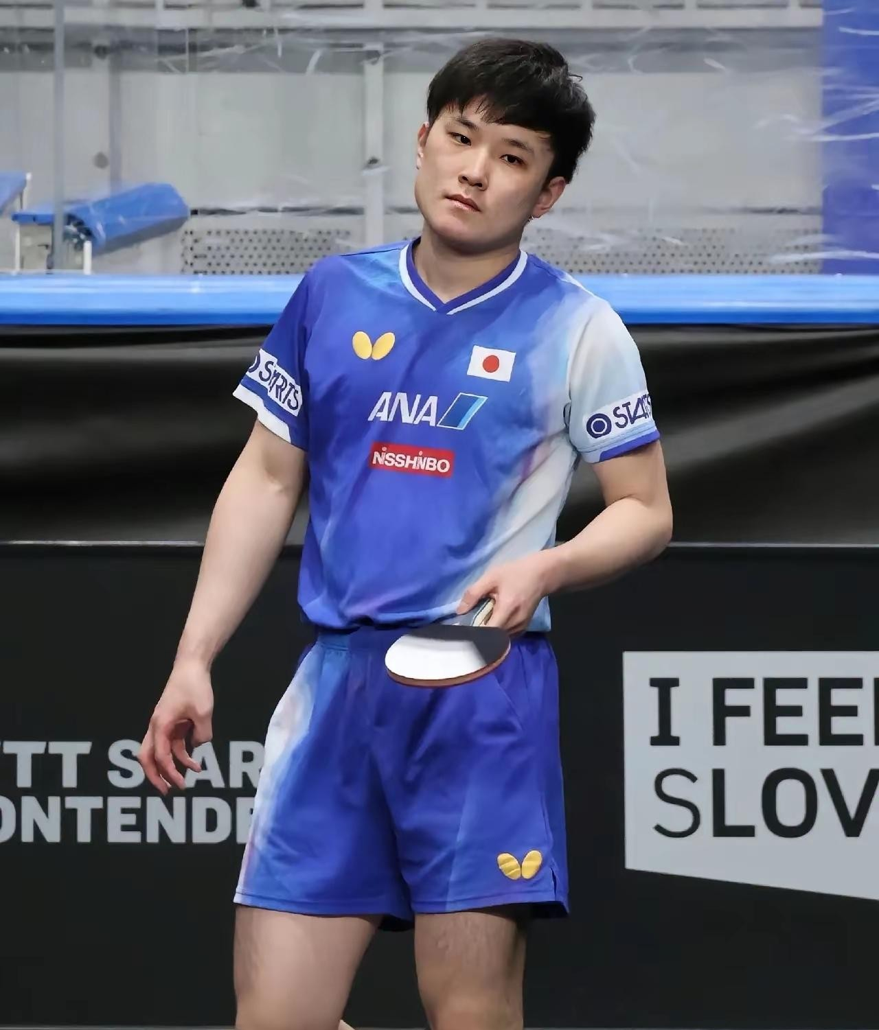 张本智和是个两头受气的气包子,咋回事?