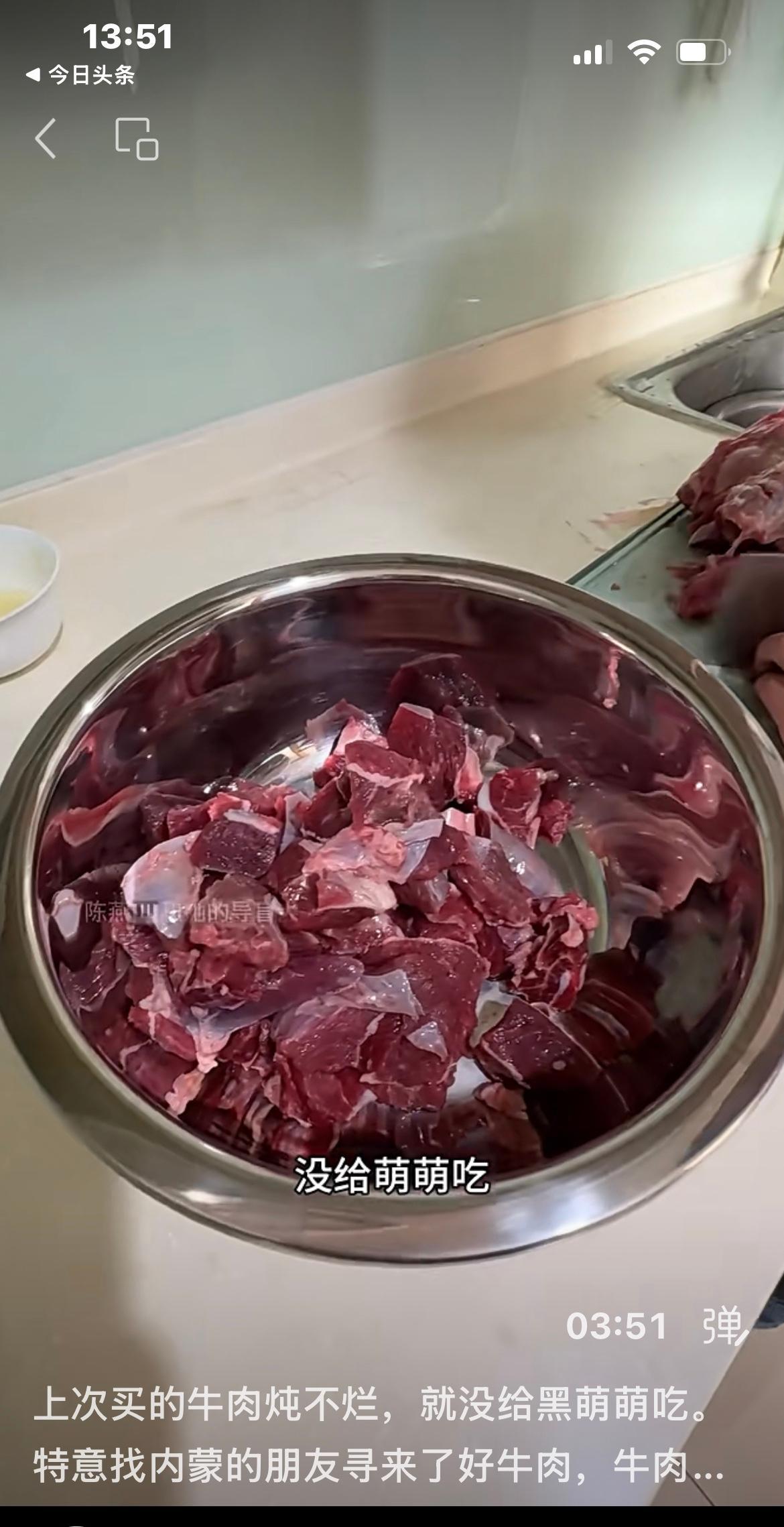 大家看看陈燕的导盲犬黑萌萌 盲人陈燕,给予了黑萌萌无比的关心和爱护