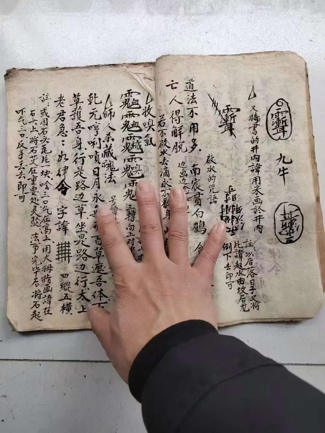 论鸟兔太阳時擒星法论先夭气盈后夭气散法行凶急葬水碗内字讳秘法