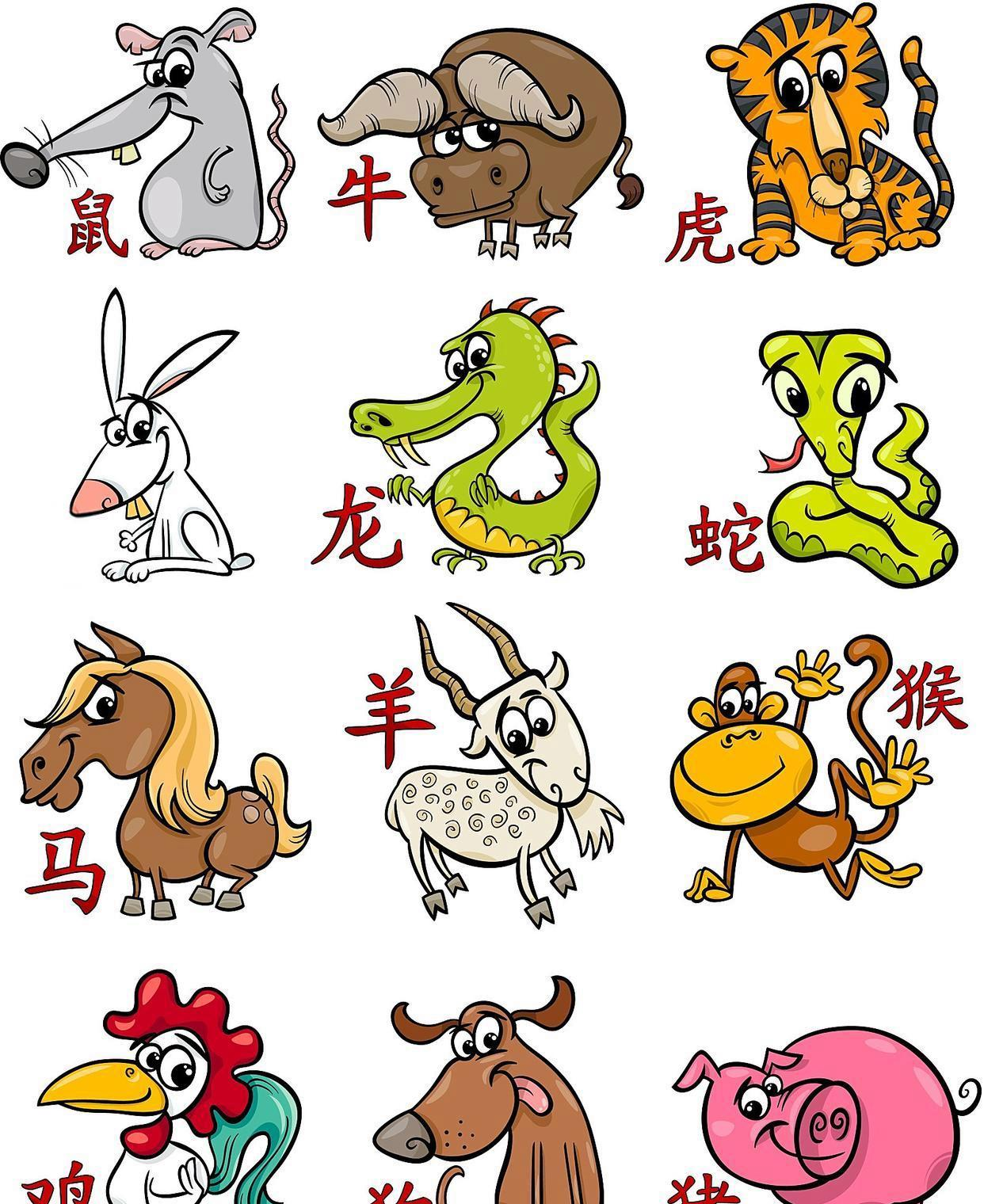 权重是什么生肖 - 权重什么什么成语