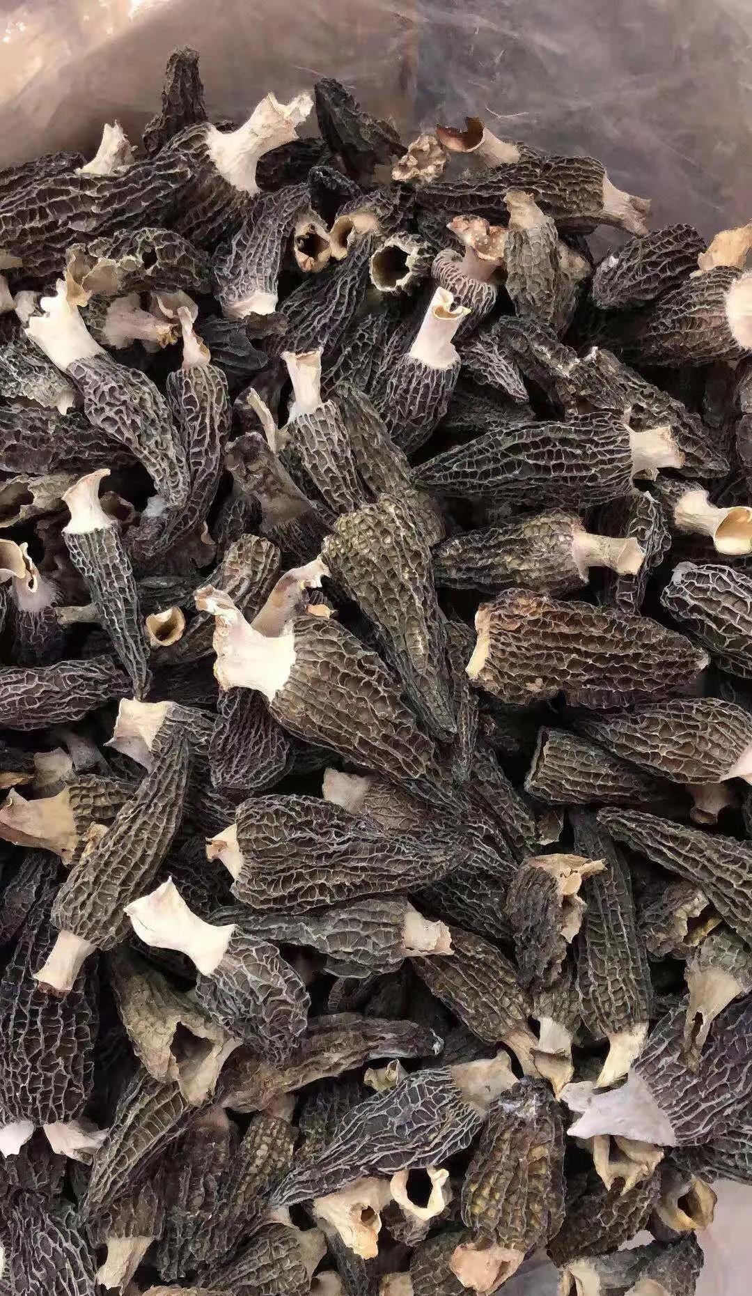 万能的条友们有谁认识吗?好吃吗?是不是真的很贵呀?