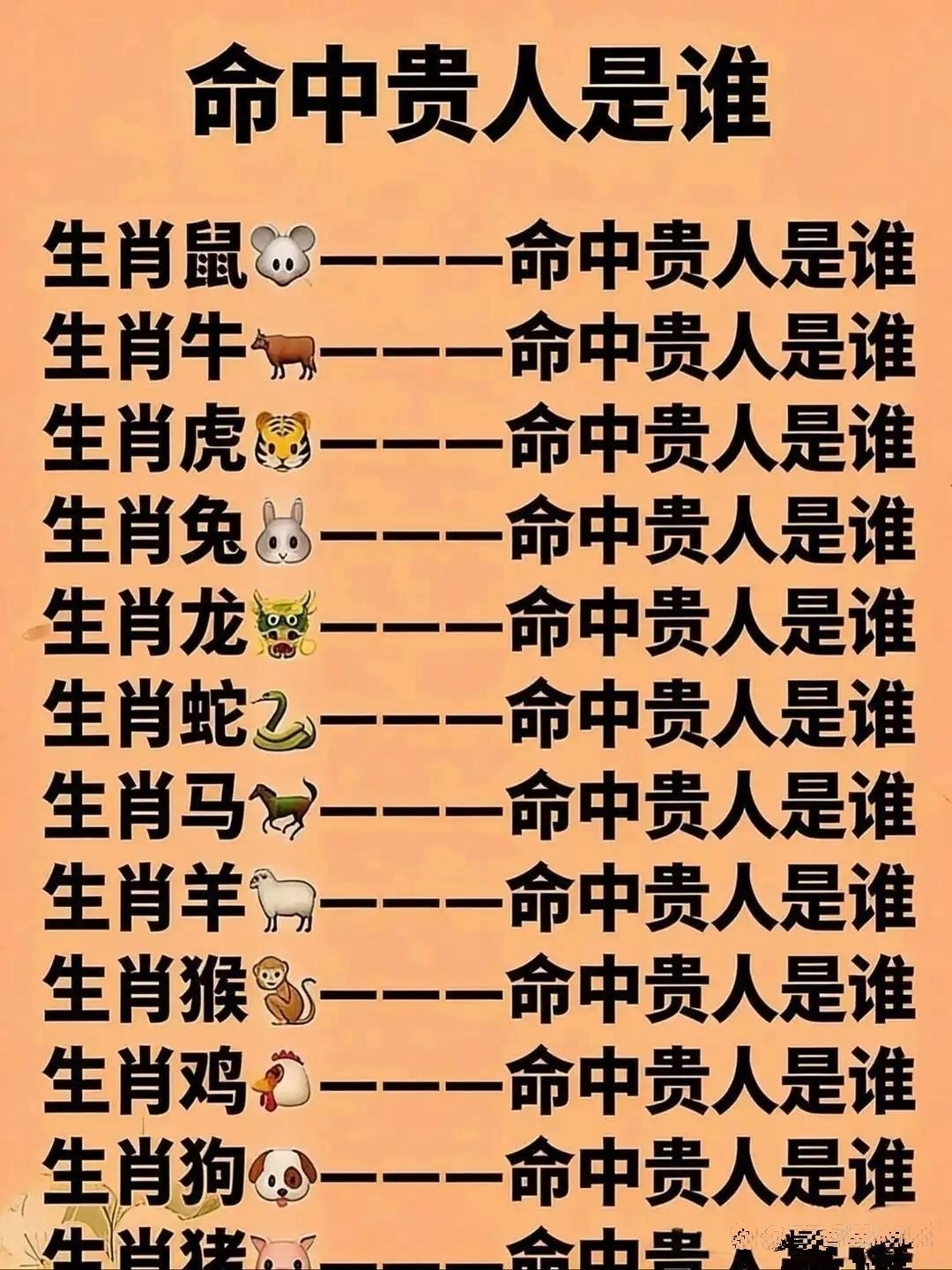 属虎的贵人可能是属马的一起能闯出一片天属兔的贵人
