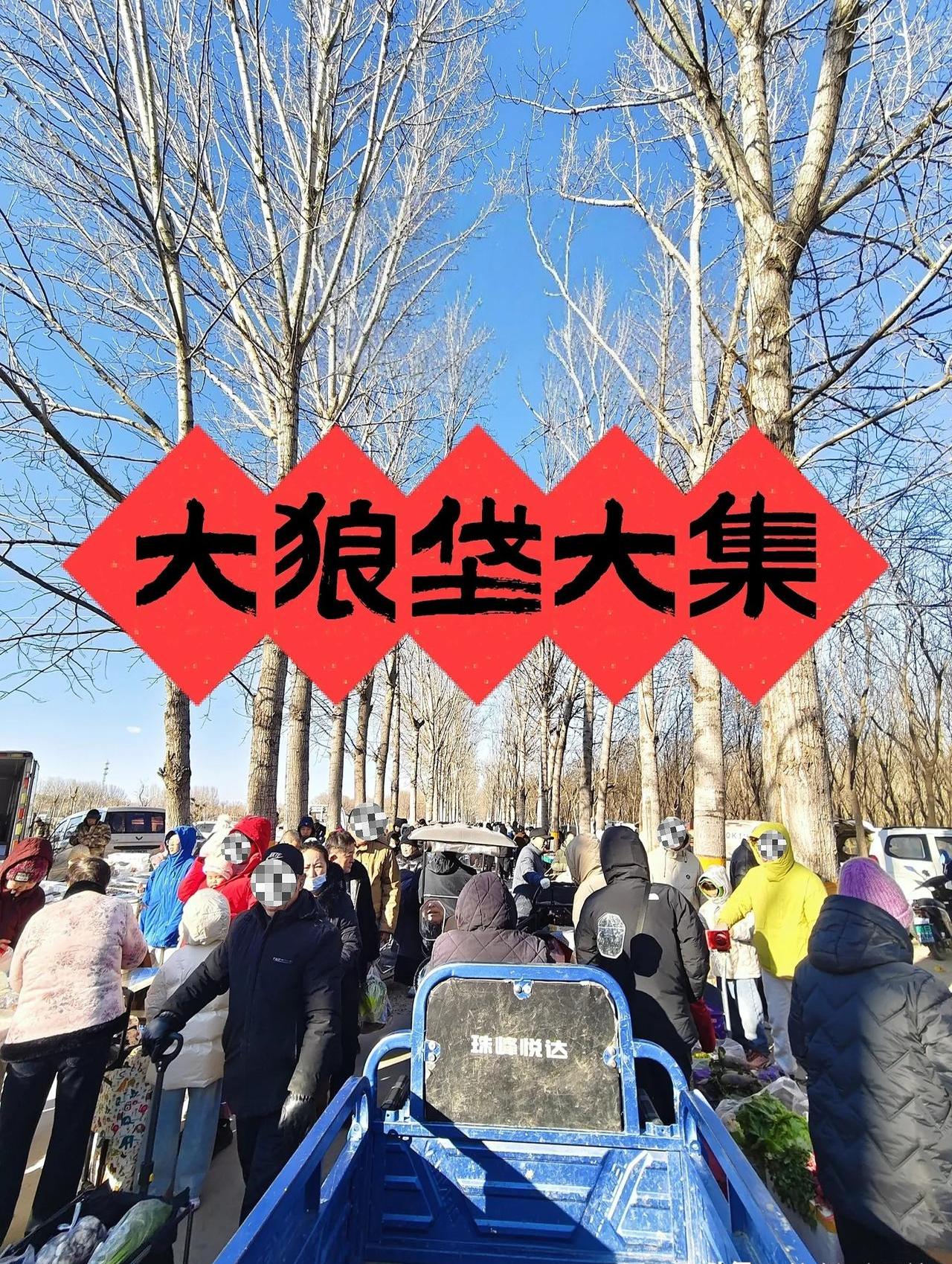 谁能想到在北京大兴的大狼垡大集我竟然能同时拥有睡懒觉和逛大集的