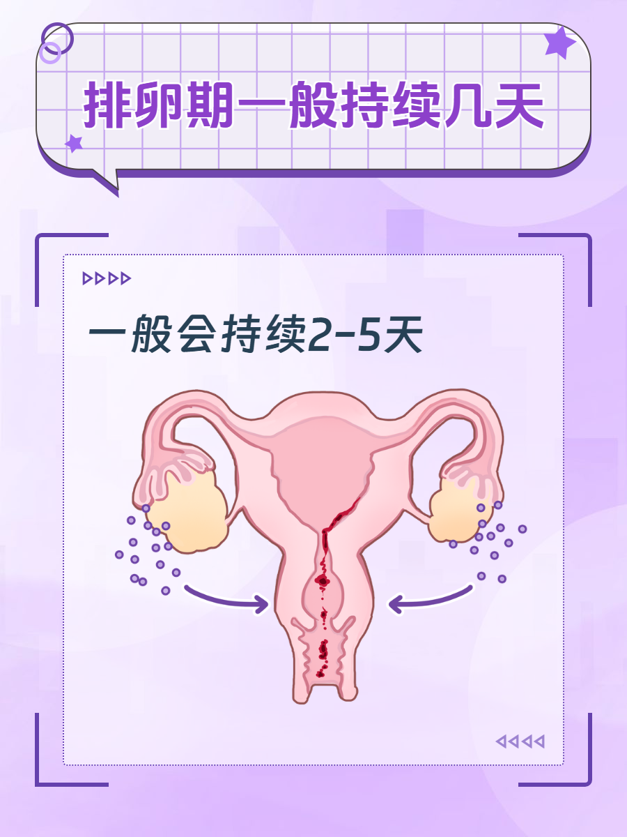 排卵过程正常排卵图片女性排卵过程排卵过程示意图正常排卵图片大全图