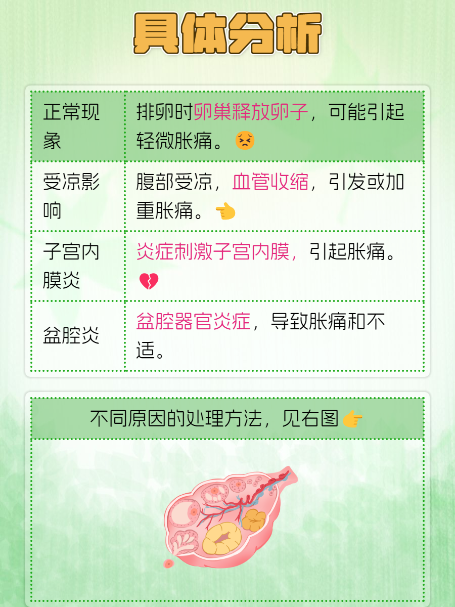 关于卵子破裂的症状的信息