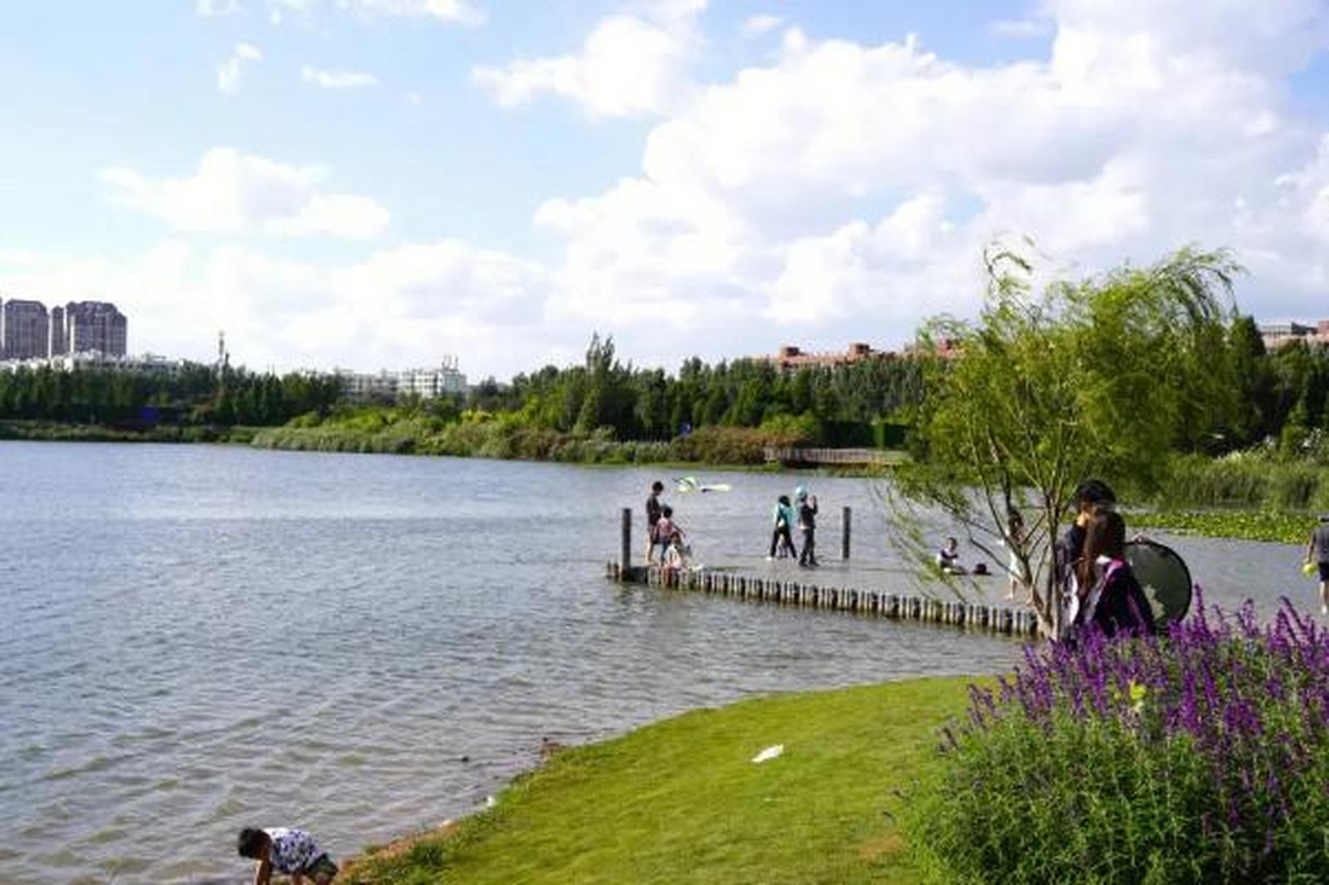 昆明可以遛狗的公园有哪些 1,昆明融创滇池后海 介绍:  昆明运粮河