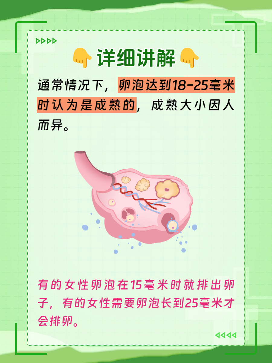 2025年8月16日 第28页