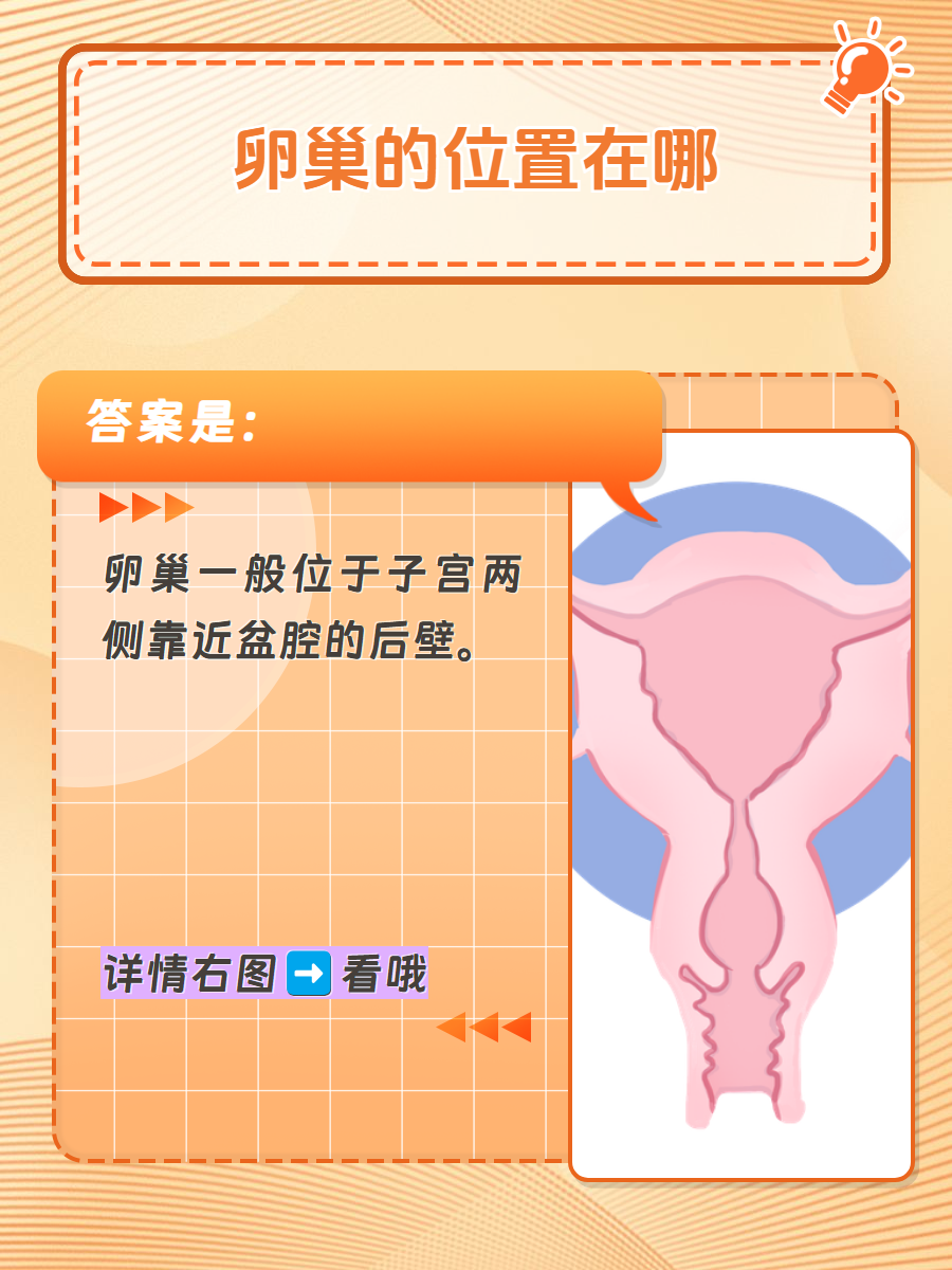 你了解吗  卵巢是女性生殖系统中重要的器官,通常成对存在,位于子宫