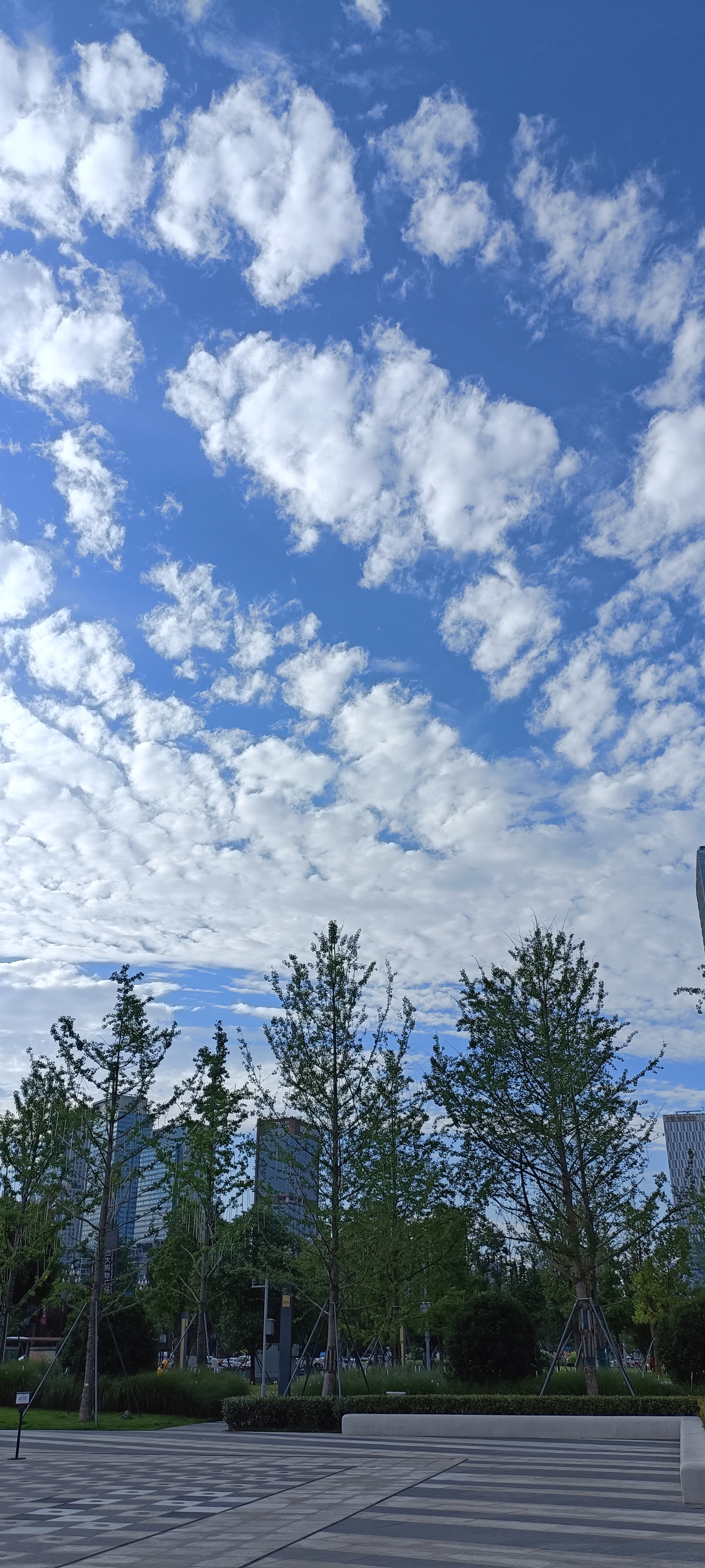 风景图片蓝天白云照片真实真实蓝天白云图片蓝天白云的真实图片蓝天